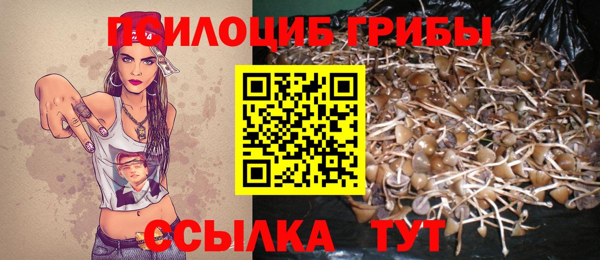 Нижний Новгород  Псилоцибиновые грибы ЛСД  Вход с VPN 