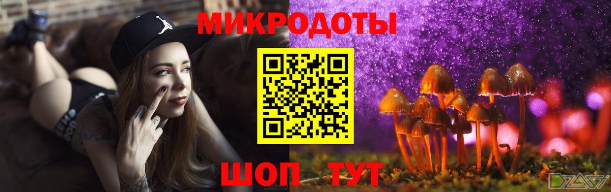 Псилоцибиновые грибы GOLDEN TEACHER Нижний Новгород